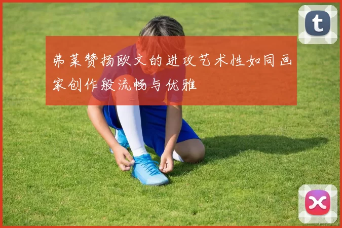 弗莱赞扬欧文的进攻艺术性如同画家创作般流畅与优雅