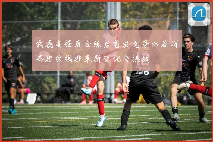 武磊高强度合练后首发竞争加剧海港进攻线迎来新变化与挑战